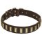 Cane Corso Leather Fashion Collar with Brass Plates Decoration