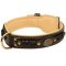 Fashionable Royal Nappa Padded Hand Made Leather Dog Collar for Cane Corso