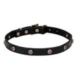 'Cloak and Sword' Leather Cane Corso Collar with Embossed Studs