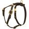 Y-shaped Light Weight Adjustable Leather Dog Harness for Cane Corso Breed