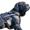 Lightweight Reflective Harness for Mastino Napoletano's SAR, K9, Police Training