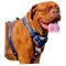 Exclusive Painting Universal Leather Dog Harness for Dogue de Bordeaux Dogs