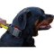 Weatherproof Nylon Dog Collar with Handle for Rottweiler dog breed