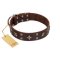 "Stars in Sands" Modern FDT Artisan Brown Leather Cane Corso Collar with Studs and Stars