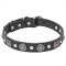 'Shiny Charm' Leather Cane Corso Collar with Chrome Plated Conchos and Half-balls