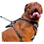 Fire Flames Painted Leather Dog Harness for Attack/Agitation Training