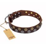 'Strong Shields' Studded FDT Artisan Brown Leather Cane Corso Collar - 1 1/2 inch (40 mm) wide