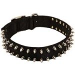 Cane Corso Waterproof Nylon Dog Collar with Spikes