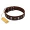 "War Chief" FDT Artisan Genuine Brown Leather Cane Corso Collar with Skulls and Plates