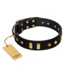 "De Luxe" FDT Artisan Black Leather Cane Corso Collar with Old Bronze-like Plates and Studs