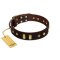 "Blinking Illusion" FDT Artisan Brown Leather Cane Corso Collar with Old Bronze-like Studs and Plates