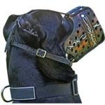 Hand-painted Cane Corso Leather Dog Muzzle