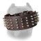 3 inch Wide Spiked Dog Collar for Cane Corso