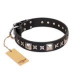 'Space Walk' FDT Artisan Cane Corso Black Leather Dog Collar with Adornments