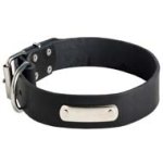 Personalized Leather Dog Collar with ID tag for Cane Corso Breed