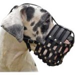 Well-Ventilated Leather Basket Dog Muzzle for the Great Dane