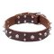 'Real Biker" Fashion leather Cane Corso Collar with Spikes and Skulls