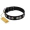 "Magic Amulete" Handcrafted FDT Artisan Black Leather Cane Corso Collar with Chrome-Plated Shields