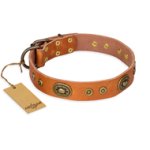 "Dandy Pet" FDT Artisan Handcrafted Tan Leather Cane Corso Collar