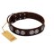 "High and Mighty" FDT Artisan Classy Brown Leather Cane Corso Collar with Embellished Brooches