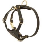 Small Adjustable Leather Dog Harness for Cane Corso Puppies