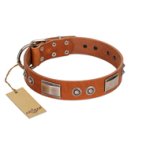 "Pawsy Glossy" FDT Artisan Exclusive Tan Leather Cane Corso Collar 1 1/2 inch (40 mm) wide
