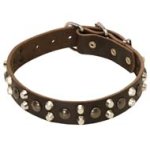 Leather Dog Collars with Studs and Pyramids for Cane Corso