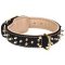 Nappa Padded Dog Collar for Cane Corso Mastiff