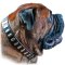 Dog Collar for Large and Giant Breeds like Mastiff