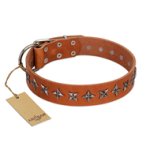 "Star Trek" FDT Artisan Tan Leather Cane Corso Collar Decorated with Stars