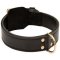 Extra Strong 2ply Leather Dog Collar for Cane Corso Training