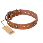 "Stunning Dress" FDT Artisan Tan Leather Cane Corso Collar with Old Bronze Look Plates and Studs