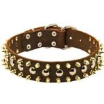 Designer Leather Spiked and Studded Dog Collar for Cane Corso