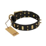 "Medieval Style" FDT Artisan Leather Cane Corso Collar with Brass Plates and Spikes