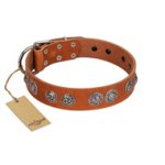 "Woofy Majesty" FDT Artisan Tan Leather Cane Corso Collar with Round Silver-like Plates