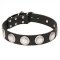 'Maya Indians' Wide Leather Cane Corso Collar with Chrome Plated Circles