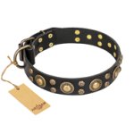 'Baroque Chic' FDT Artisan Studded Black Leather Cane Corso Dog Collar