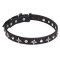 'Pleiades' Leather Cane Corso Collar with Chrome Plated Stars and Studs