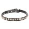 "King Studs" Leather Cane Corso Collar with Chrome Plated Adornment