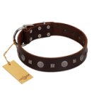 "Pure Sensation" Exclusive FDT Artisan Brown Leather Cane Corso Collar with Fancy Brooches and Studs