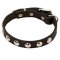 Beautiful Leather Dog Collar with Round Nickel Studs