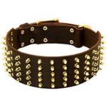 Fashion Extra Wide Spiked Leather Dog Collar for Cane Corso