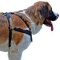 Best Pulling/Tracking Leather Dog Harness Created for Moscow Watchdog