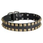 Awesome "Caterpillar" Design Leather Dog Collar for Cane Corso