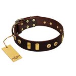 "Lord of Dogs" FDT Artisan Brown Leather Cane Corso Collar with Old Bronze-like Dotted Studs and Tiles
