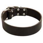 Handmade Smooth Collar for Cane Corso Dog