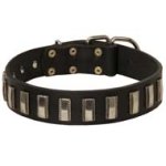 Ornamented with Nickel Plates Leather Dog Collar for Cane Corso