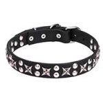"Planets and Stars" Leather Cane Corso Collar with Chrome Plated Fittings