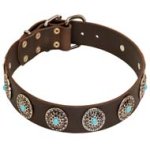 Wide Leather Dog Collar with Silver Plated Circles and Blue Stones