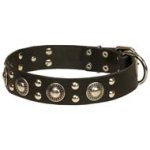 Fashion Leather Dog Collar for Cane Corso with Mixed Adornment